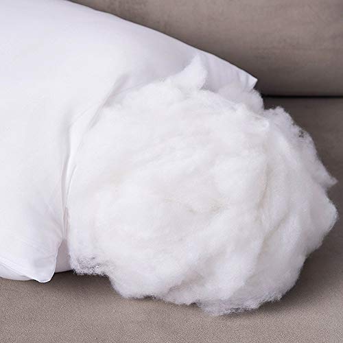 Set of 2 Lightweight PP Cotton Pillow 55cm x 55cm for Couch Cushion Ancdream 35cm x 55cm 14 x 22 Throw Pillow Inserts Set of 2 Lightweight PP Cotton Pillow 55cm x 55cm for Couch Cushion Ancdream 35cm x 55cm 14 x 22 Throw Pillow Inserts