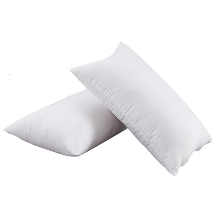 Set of 2 Lightweight PP Cotton Pillow 55cm x 55cm for Couch Cushion Ancdream 35cm x 55cm 14 x 22 Throw Pillow Inserts Set of 2 Lightweight PP Cotton Pillow 55cm x 55cm for Couch Cushion Ancdream 35cm x 55cm 14 x 22 Throw Pillow Inserts