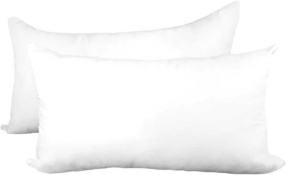 Set of 2 Lightweight PP Cotton Pillow 55cm x 55cm for Couch Cushion Ancdream 35cm x 55cm 14 x 22 Throw Pillow Inserts Set of 2 Lightweight PP Cotton Pillow 55cm x 55cm for Couch Cushion Ancdream 35cm x 55cm 14 x 22 Throw Pillow Inserts