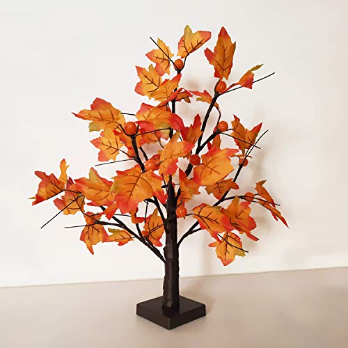 WATERGLIDE Tabletop Lighted Maple Tree 24 LED Thanksgiving Decorations Lights Artificial Table Centerpiece Battery Operated with Timer Leaf and Acorn Autumn Fall Trees for Indoor Home Bedroom Décor WATERGLIDE Tabletop Lighted Maple Tree 24 LED Thanksgiving Decorations Lights Artificial Table Centerpiece Battery Operated with Timer Leaf and Acorn Autumn Fall Trees for Indoor Home Bedroom Décor