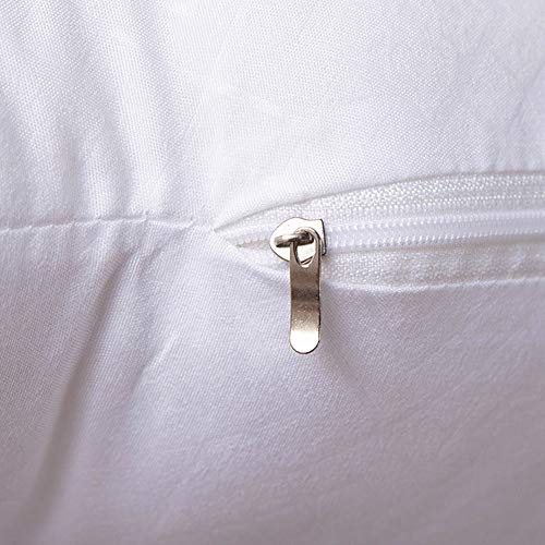 Set of 2 Lightweight PP Cotton Pillow 55cm x 55cm for Couch Cushion Ancdream 35cm x 55cm 14 x 22 Throw Pillow Inserts Set of 2 Lightweight PP Cotton Pillow 55cm x 55cm for Couch Cushion Ancdream 35cm x 55cm 14 x 22 Throw Pillow Inserts