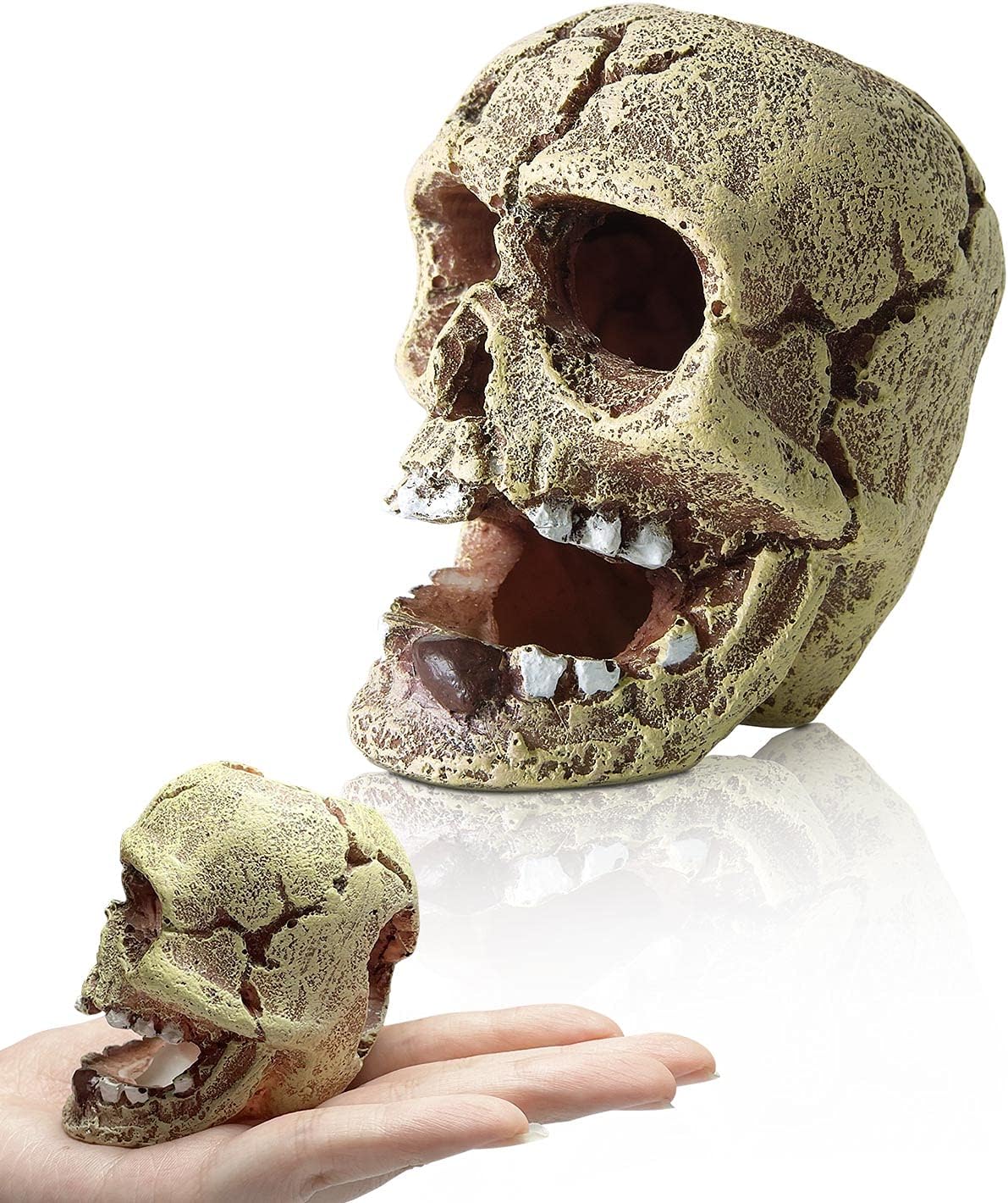 HITOP Resin Aquarium Ornament Mini Skull/Landscape-Stone/Mechanical-Tank Fish Tank Decoration for Fish or Reptile,Aquarium Bubbler Decoration HITOP Resin Aquarium Ornament Mini Skull/Landscape-Stone/Mechanical-Tank Fish Tank Decoration for Fish or Reptile,Aquarium Bubbler Decoration