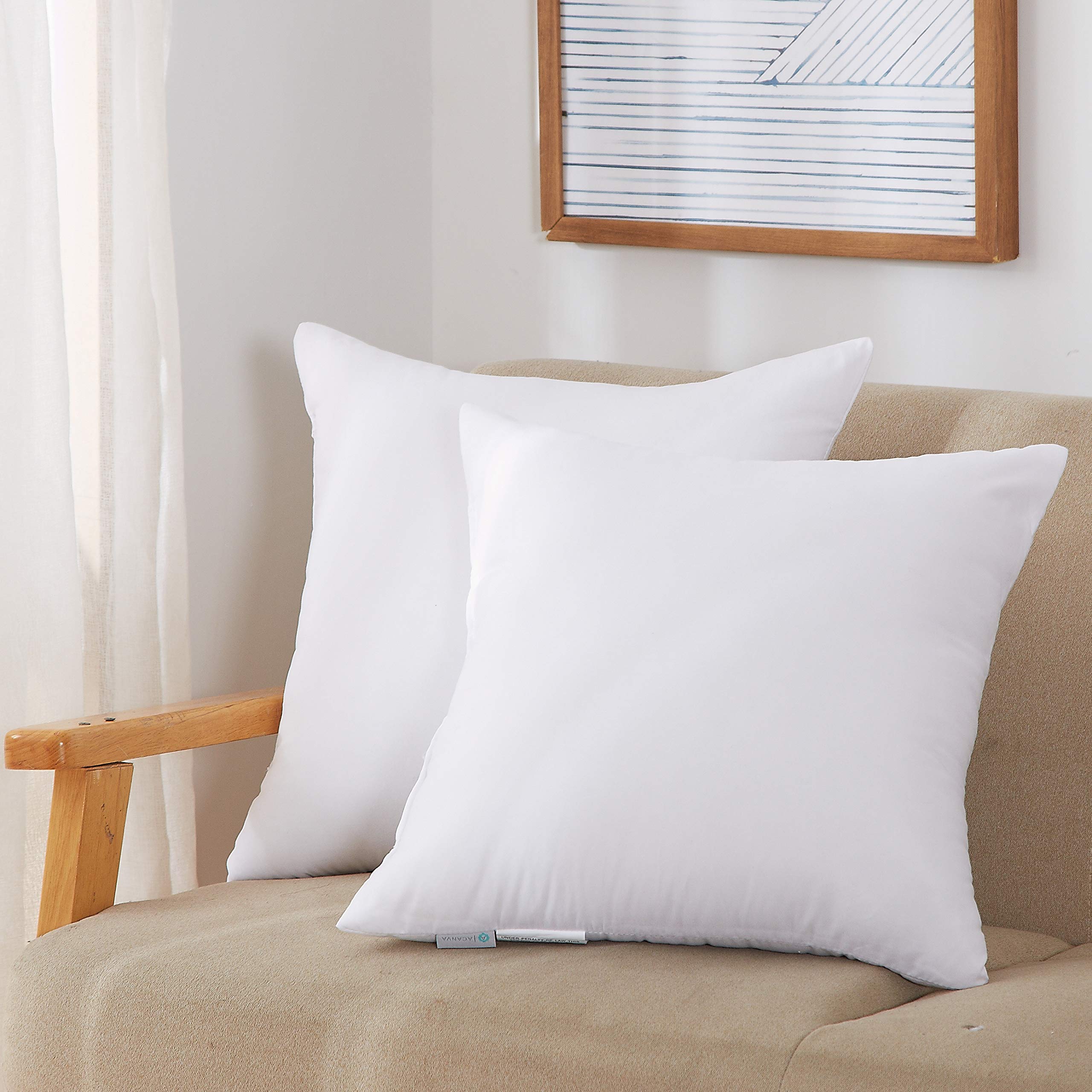 Set of 2 Lightweight PP Cotton Pillow 55cm x 55cm for Couch Cushion Ancdream 35cm x 55cm 14 x 22 Throw Pillow Inserts Set of 2 Lightweight PP Cotton Pillow 55cm x 55cm for Couch Cushion Ancdream 35cm x 55cm 14 x 22 Throw Pillow Inserts